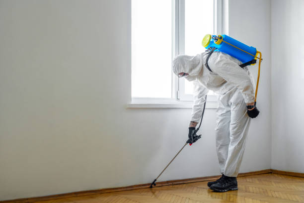 Wasp Removal Services in Rimersburg, PA